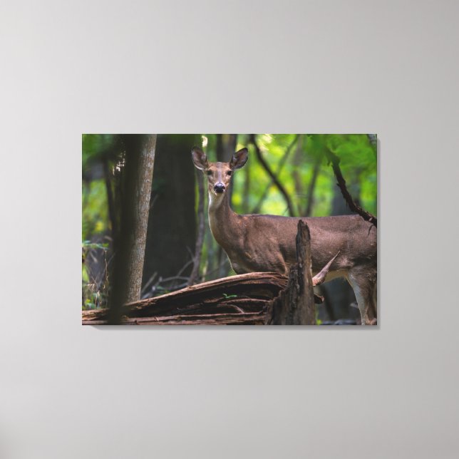 Checking You Out Canvas Print (Front)