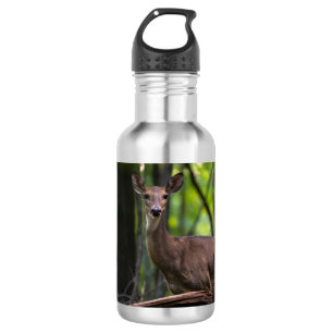 Checking You Out Stainless Steel Water Bottle