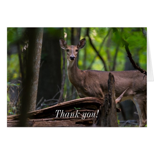 Checking You Out Thank You Card (Front Horizontal)