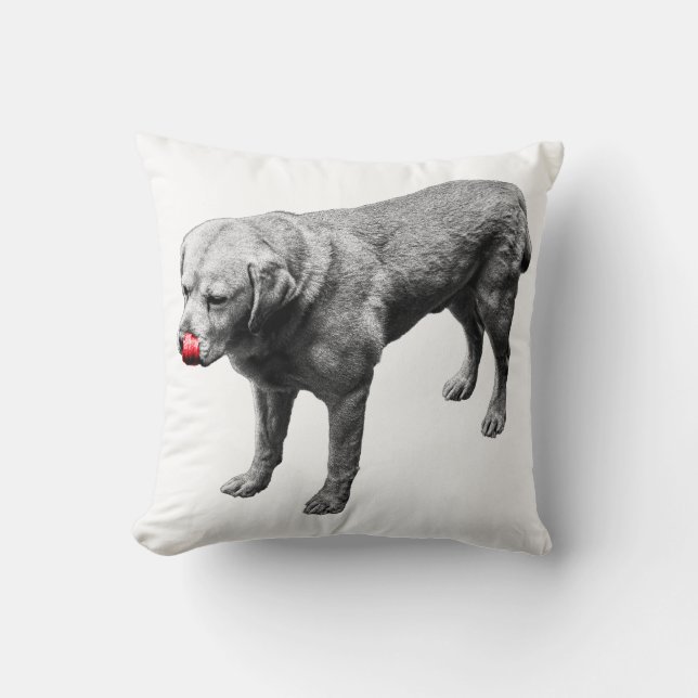 Cheeky Accent Cushion (Front)