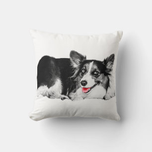 Cheeky Accent for Cosy Spaces Cushion