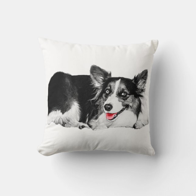 Cheeky Accent for Cosy Spaces Cushion (Front)