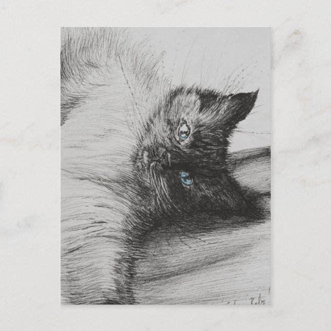 Cheeky Baby Postcard (Front)