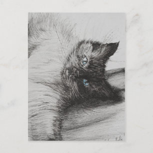 Cheeky Baby Postcard
