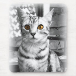 Cheeky Cat Mouse Mat