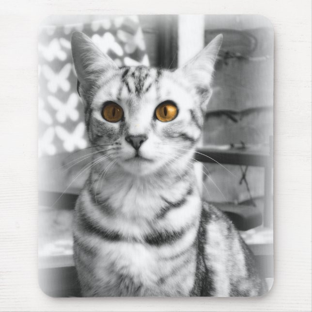 Cheeky Cat Mouse Mat (Front)