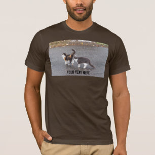 Cheeky Cats in the Road T-Shirt