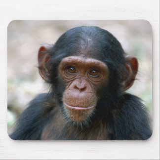 Cheeky Chimp Mouse Mat