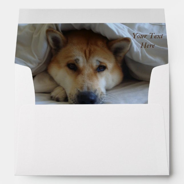 cheeky cute akita in bed original dog photo envelopes (Back (Bottom))