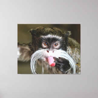 Cheeky Emperor Tamarin Monkey Canvas Print