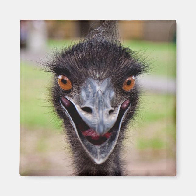Cheeky Emu Fridge Magnet (Front)