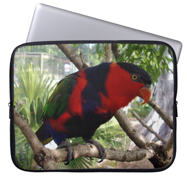 Cheeky Face Rainbow Lorikeet, Laptop Sleeve (Front)