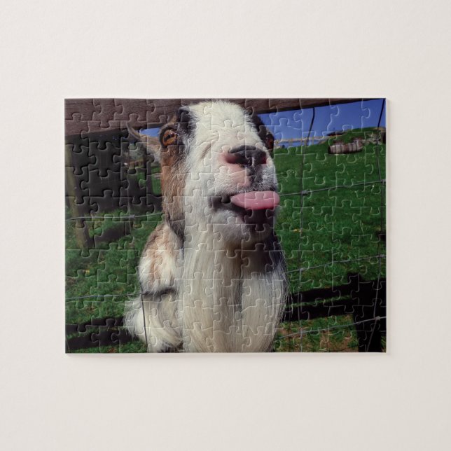 Cheeky Goat Novelty Jigsaw Puzzle (Horizontal)