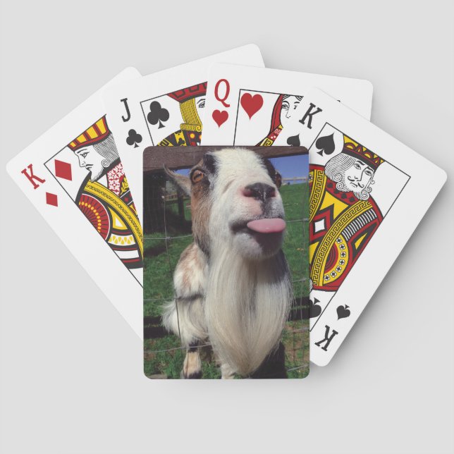 Cheeky Goat Playing Cards (Back)