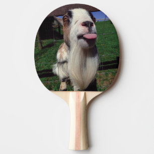 Cheeky Goat Table Tennis Paddle