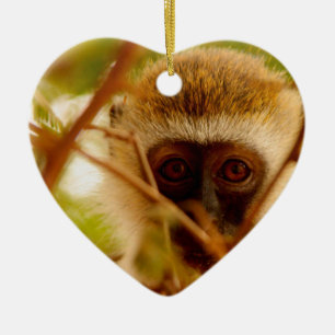 Cheeky Monkey. Ceramic Tree Decoration