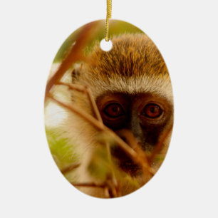 Cheeky Monkey. Ceramic Tree Decoration