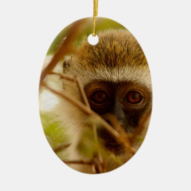 Cheeky Monkey. Ceramic Tree Decoration (Front)