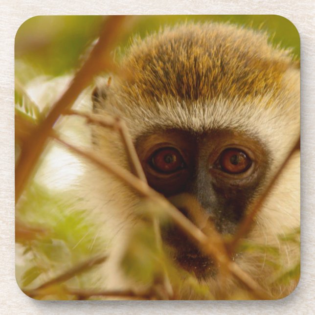 Cheeky Monkey. Coaster (Front)