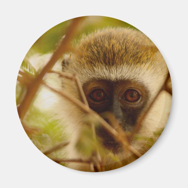 Cheeky Monkey. Magnet (Front)