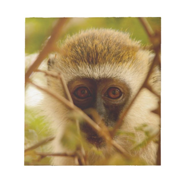 Cheeky Monkey. Notepad (Front)
