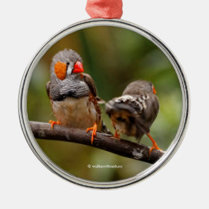 Cheeky Pair of Zebra Finch Songbirds Metal Tree Decoration