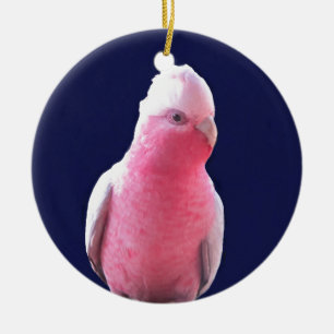 Cheeky pink and grey Australian parrot Ceramic Tree Decoration