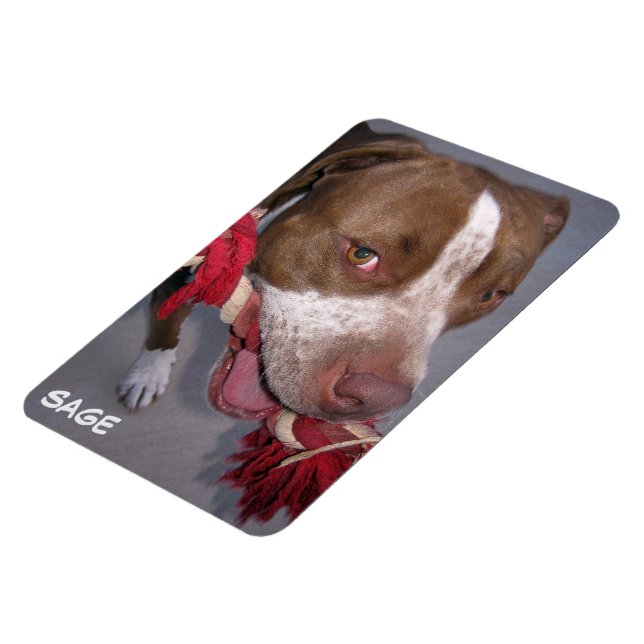 Cheeky Pitbull Magnet (Left Side)