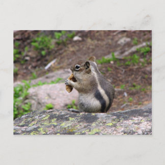 Cheeky Postcard