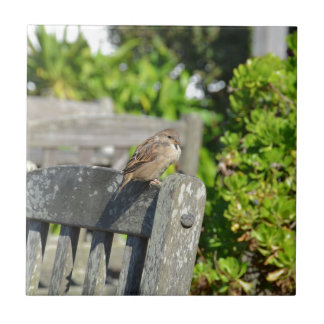 Cheeky Sparrow Tile
