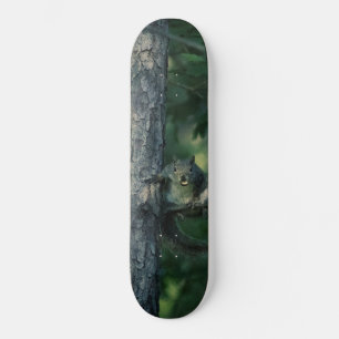 Cheeky Squirrel Skateboard
