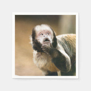 Cheeky & thoughtful baby capuchin monkey napkin