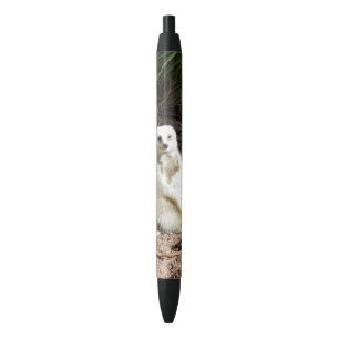 Cheeky White Meerkat, Black Ink Pen