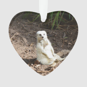 Cheeky White Meerkat, Ornament