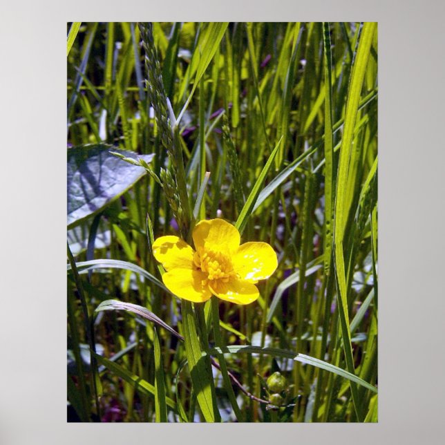 Cheer Up Buttercup Poster (Front)