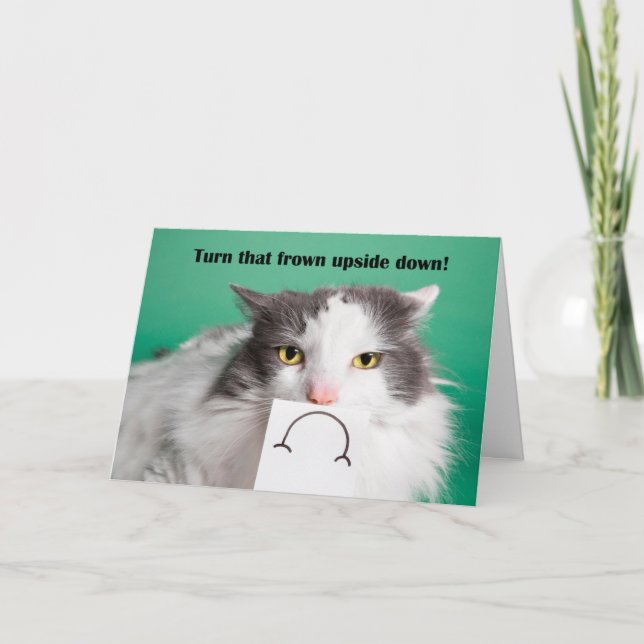 Cheer Up Encouragement Funny Cat With Frown Holiday Card (Front)