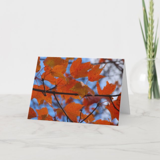 Cheerful Autumn Leaves Holiday Card (Front)