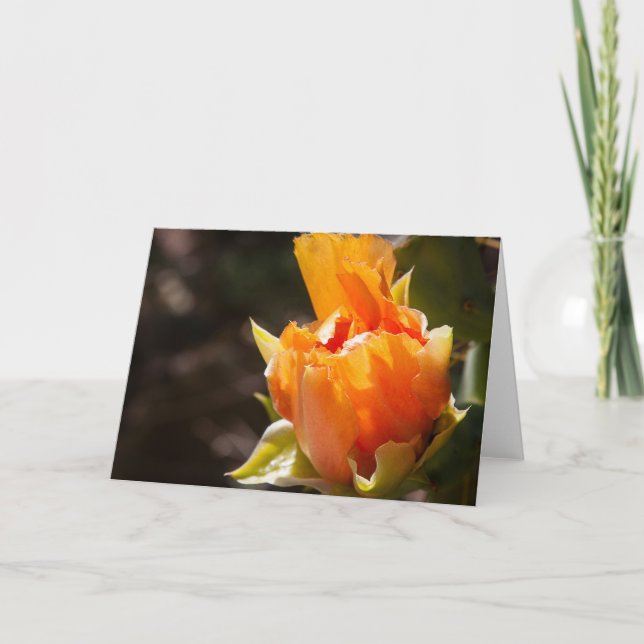 Cheerful Blank Notecard (Front)