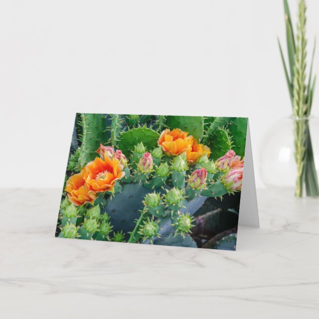 Cheerful Cactus Flowers Greeting Card (Front)