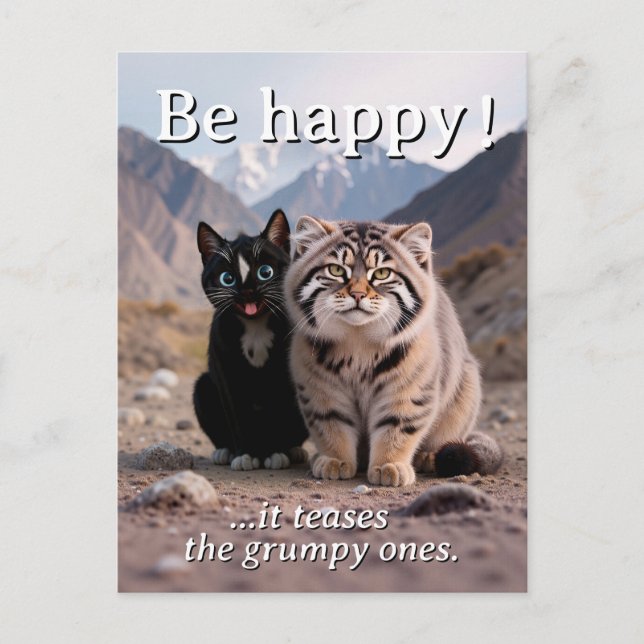 Cheerful Cat vs. Grumpy Cat – Humour Postcard (Front)