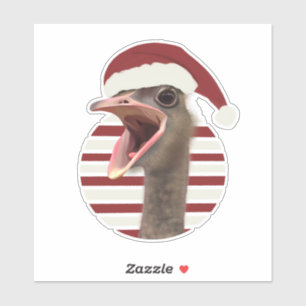 Cheerful Christmas Ostrich With Santa Hat