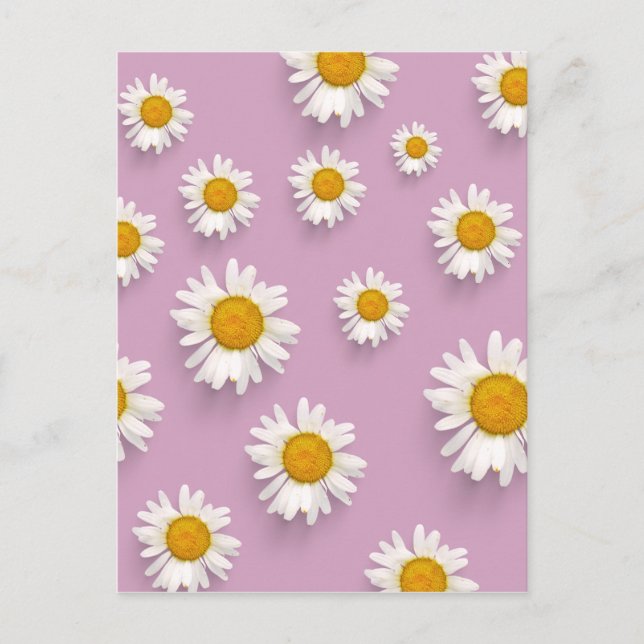 Cheerful Daisy Pattern on Pink Background Postcard (Front)