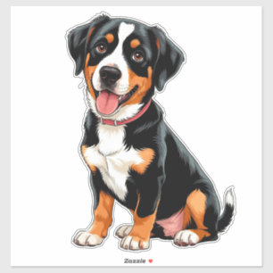 Cheerful Entlebucher Mountain Dog