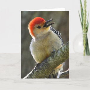 Cheerful Greeting Card