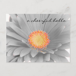 Cheerful Hello Post Card