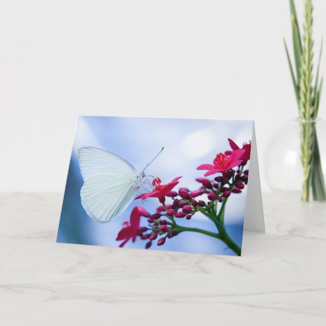 Cheerful Notecard (Front)
