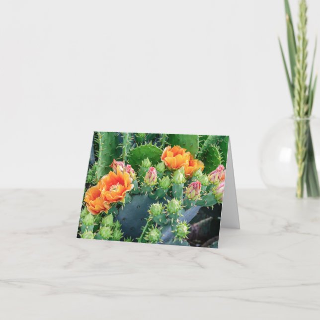 Cheerful Orange Desert Cactus Flowers Note Card (Front)