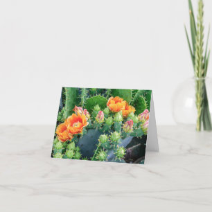 Cheerful Orange Desert Cactus Flowers Note Card