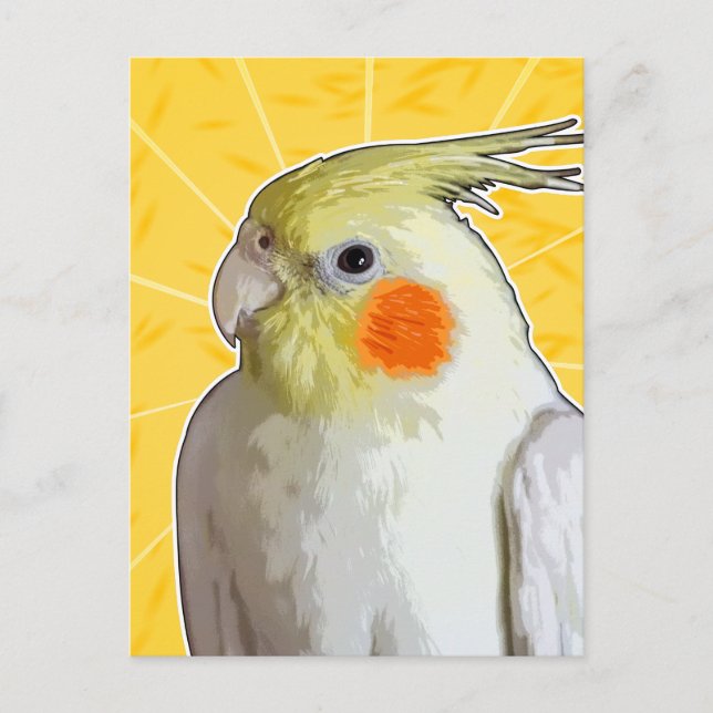 Cheerful Pet Cockatiel Bird Lemon Yellow Sunshine Postcard (Front)