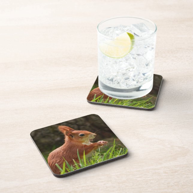 Cheerful Red Squirrel Coaster (Right Side)